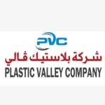 PV Plastic Valley - logo.png