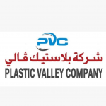 Pv Plastic Valley Logo